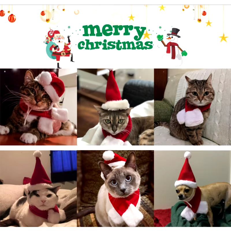 Pet Cat Dog Hat Red Scarf Christmas Pet Costume Set Adjustable Dog Santa Hat Christmas Scarf for Puppy Kitten Small Cats Dogs